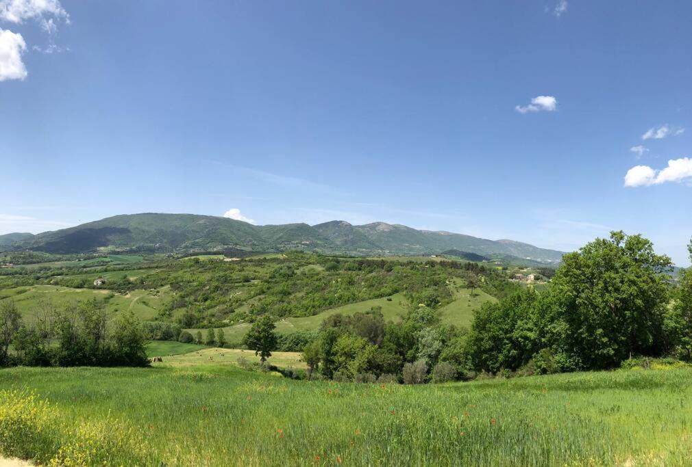 Casa Vacanze Vecchio Frantoio Residenza Leccino 斯波莱托 外观 照片