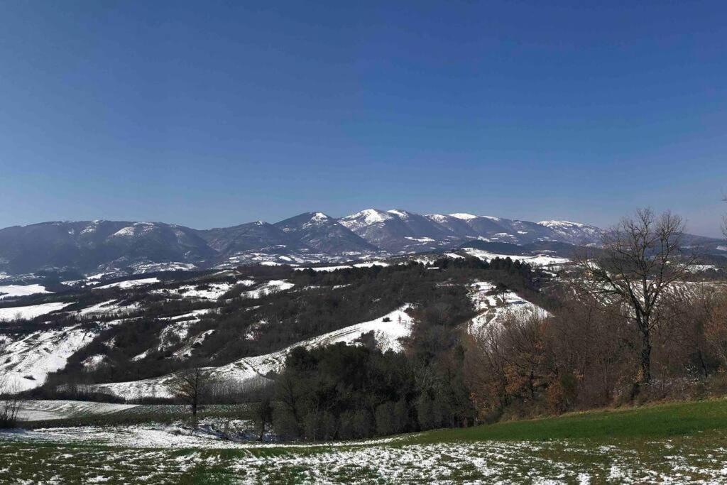 Casa Vacanze Vecchio Frantoio Residenza Leccino 斯波莱托 外观 照片