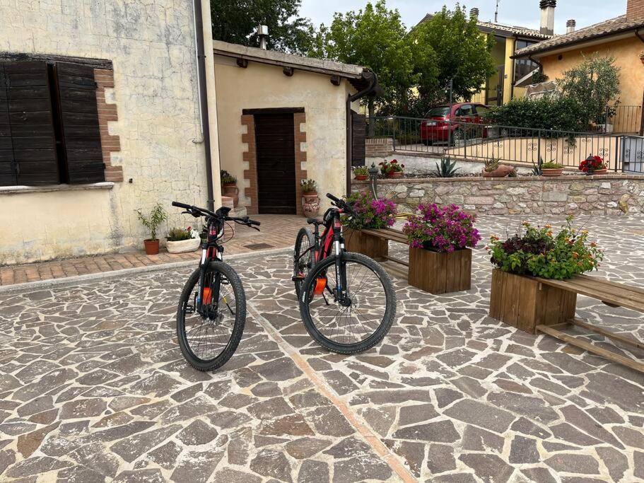 Casa Vacanze Vecchio Frantoio Residenza Leccino 斯波莱托 外观 照片